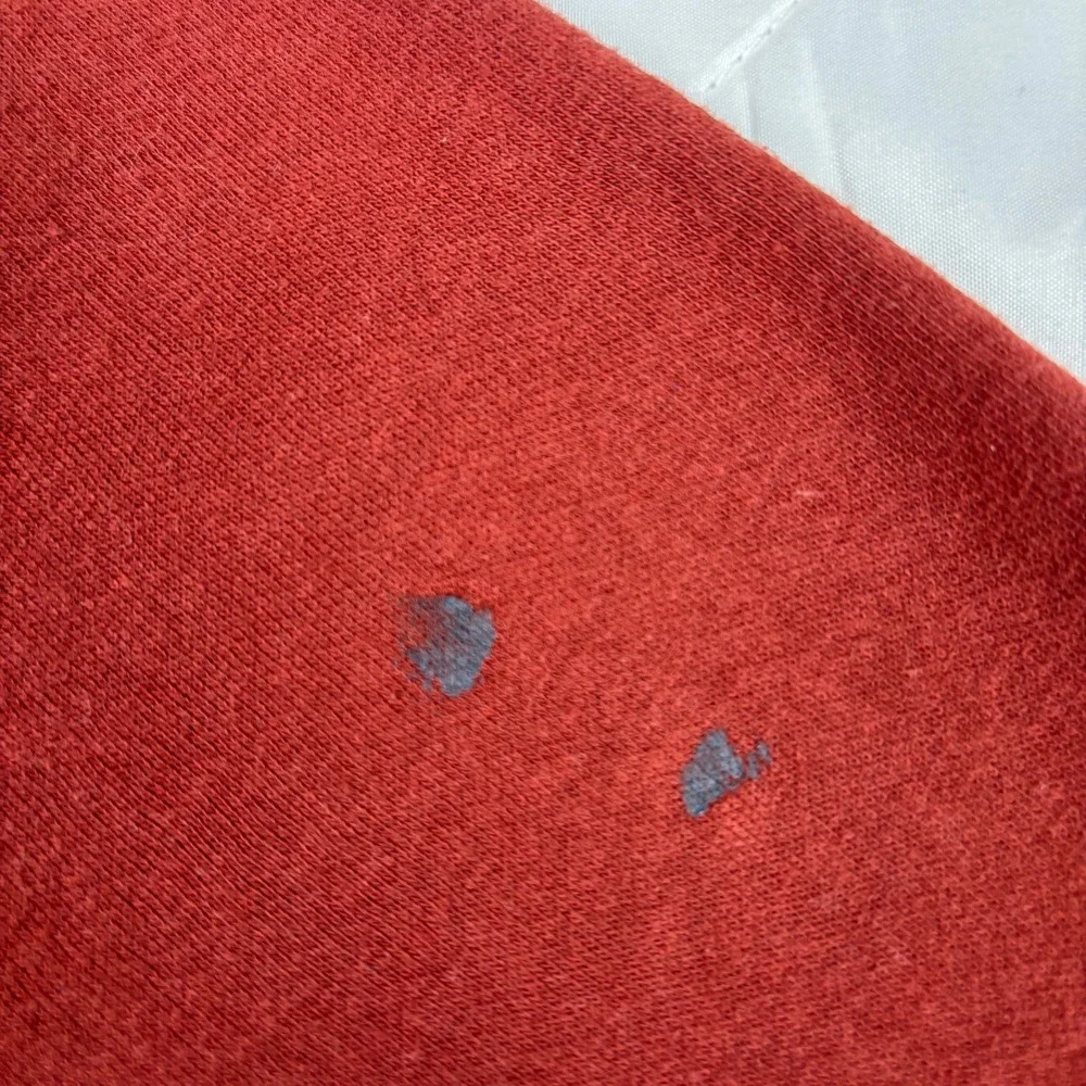 The North Face Bear Graphic Hoodie Mens M Rust Red Pullover Sweatshirt